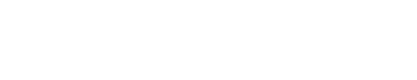 Phygital+